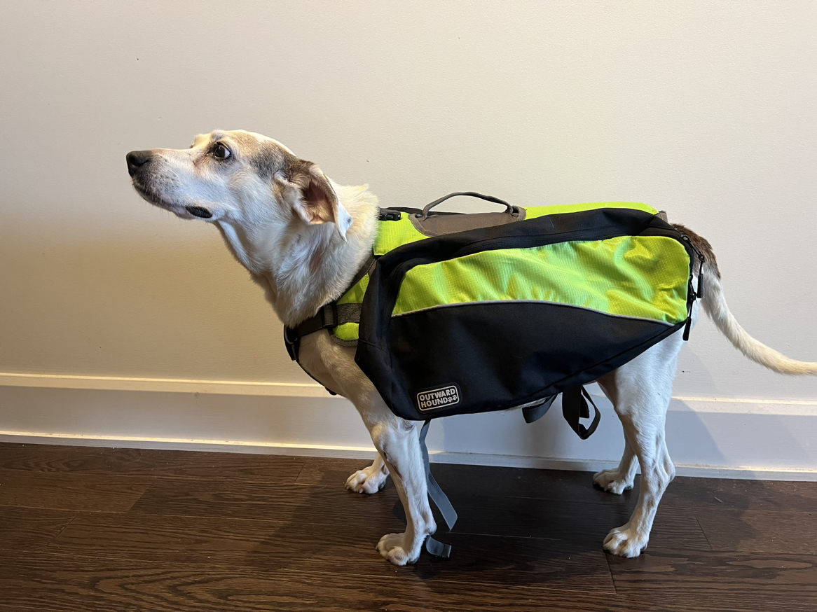 Dog backpack