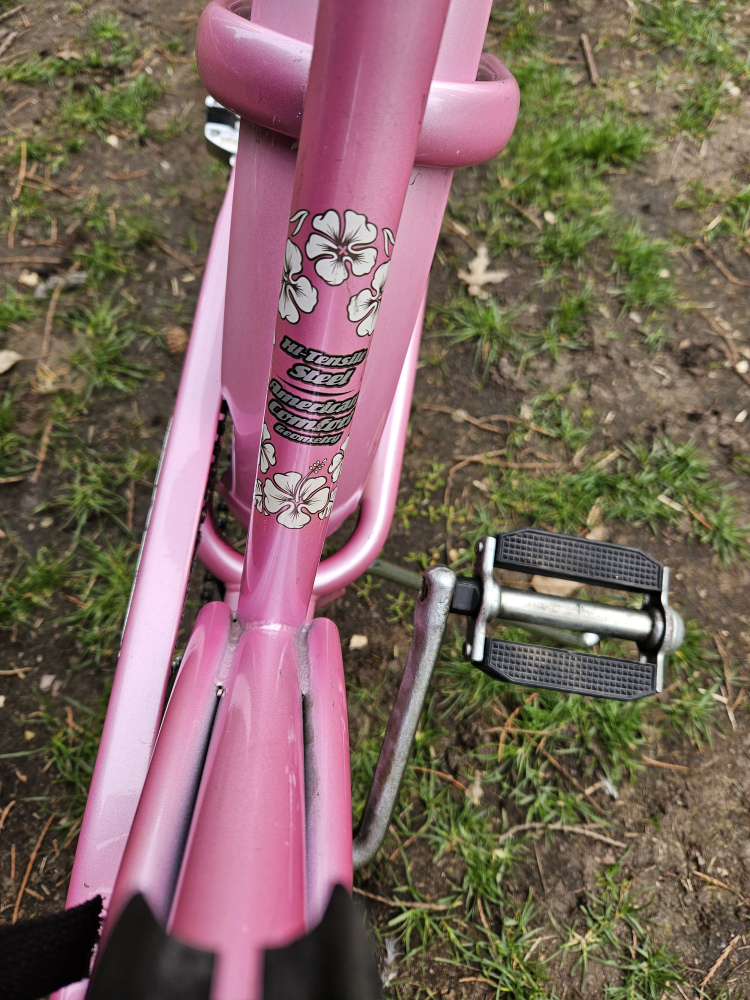 Cruiser Bike image indicator(4)