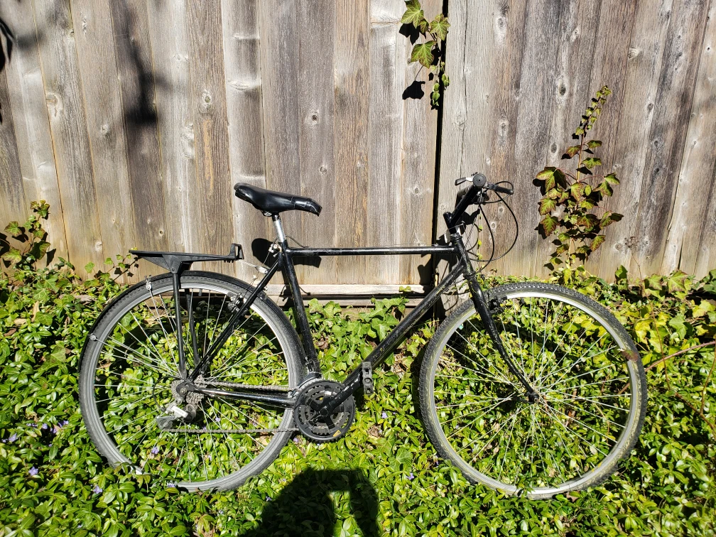 adult bicycle