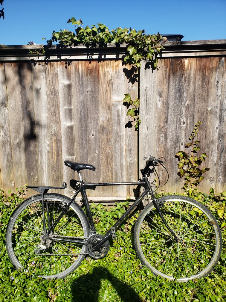 adult bicycle - photo 2