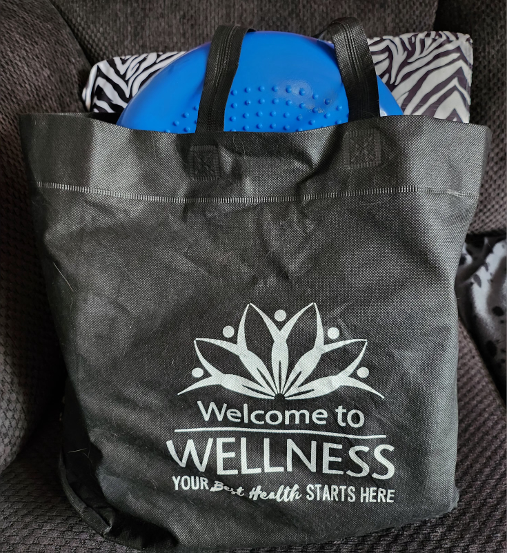 Health Wellness Kit 🧡 thumbnail