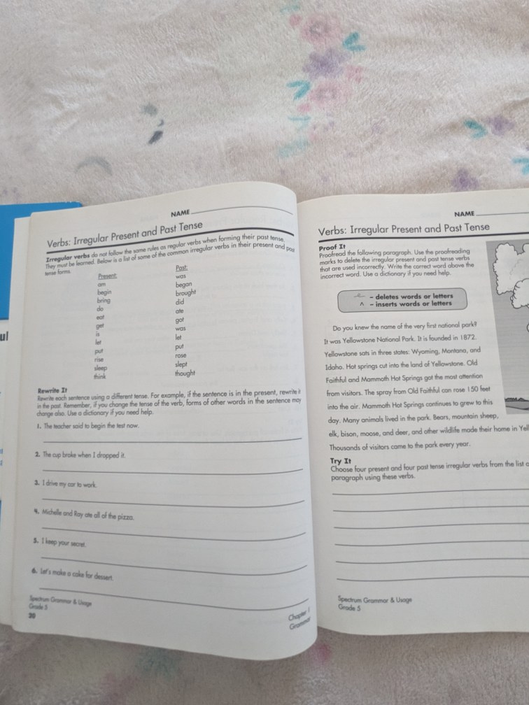 Practice/Workbooks Gr 1, 5 & 6 - photo 4