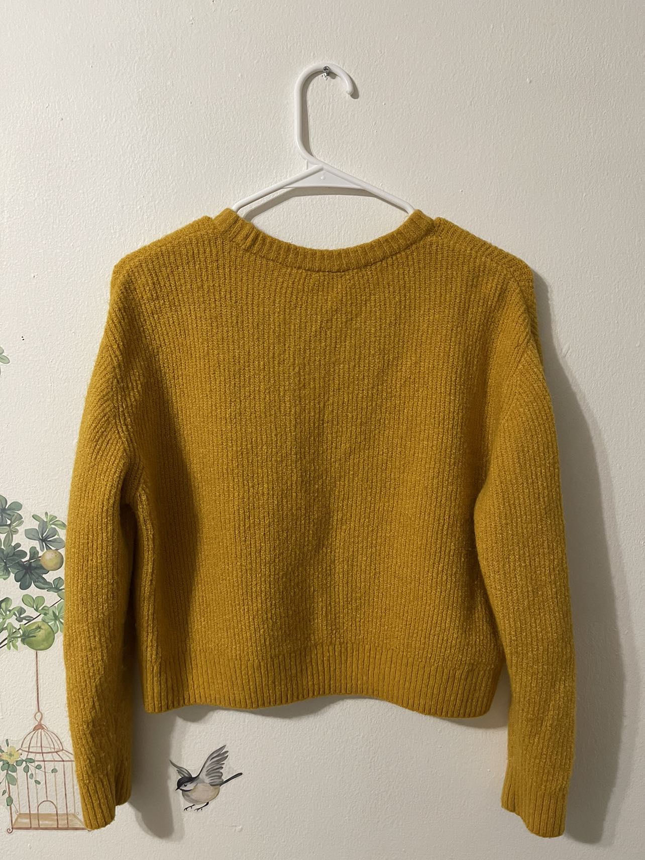 Sweater image indicator(2)