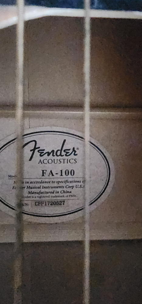 fender acoustic guitar and case - photo 2
