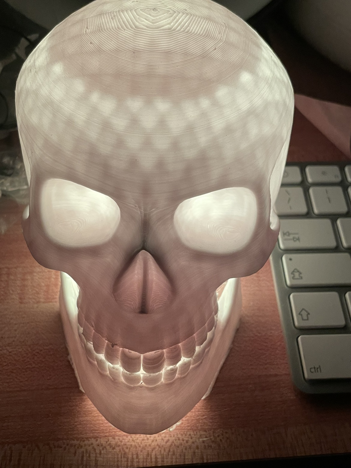 Cool light up Skull with tons of different light modes - photo 2