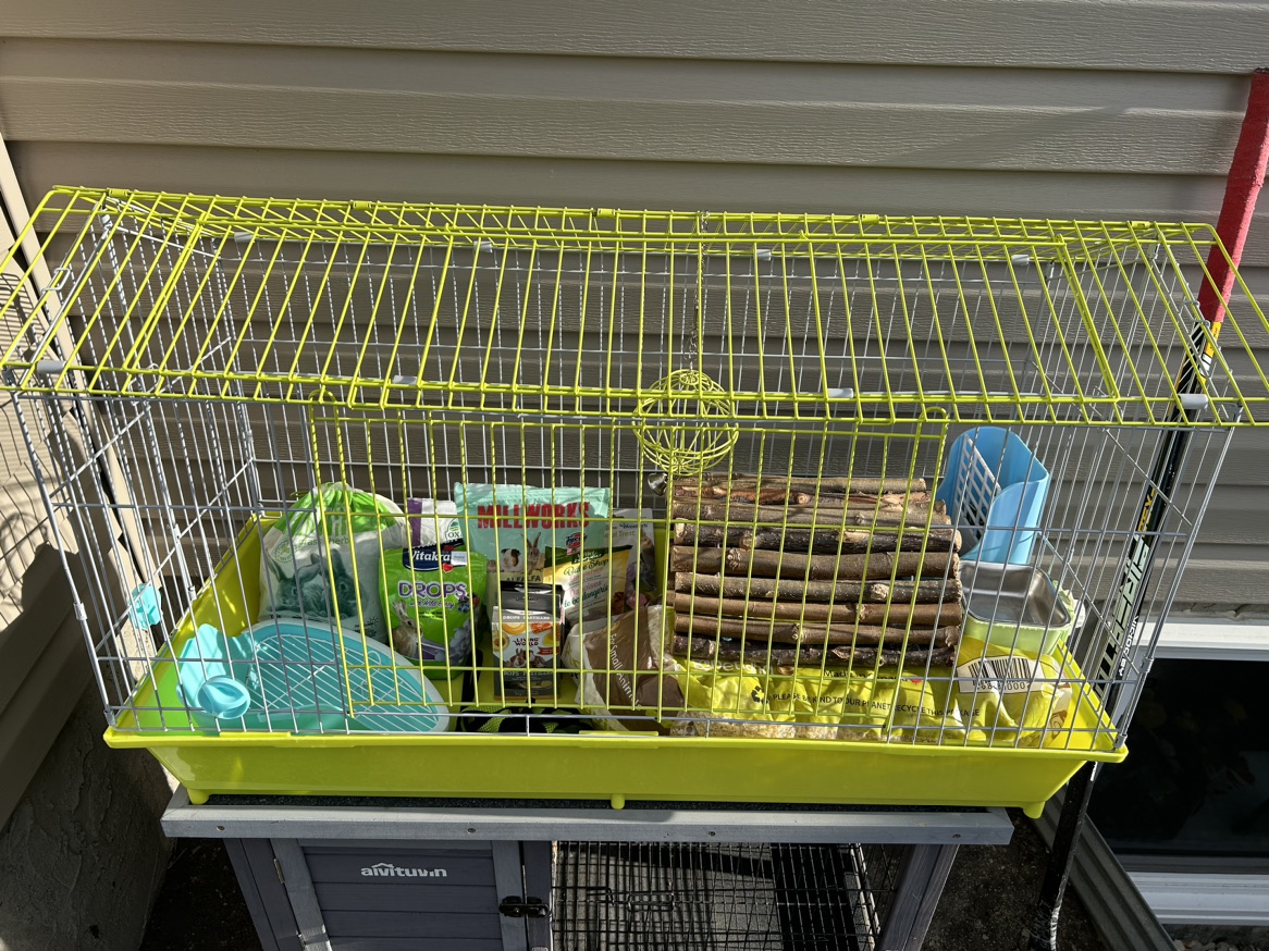 Indoor Bunny Cage With Supplies