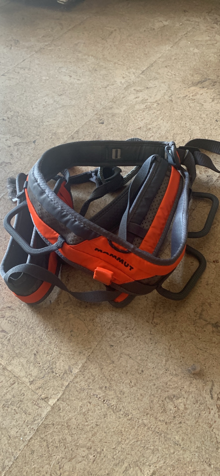 Mammut climbing harness