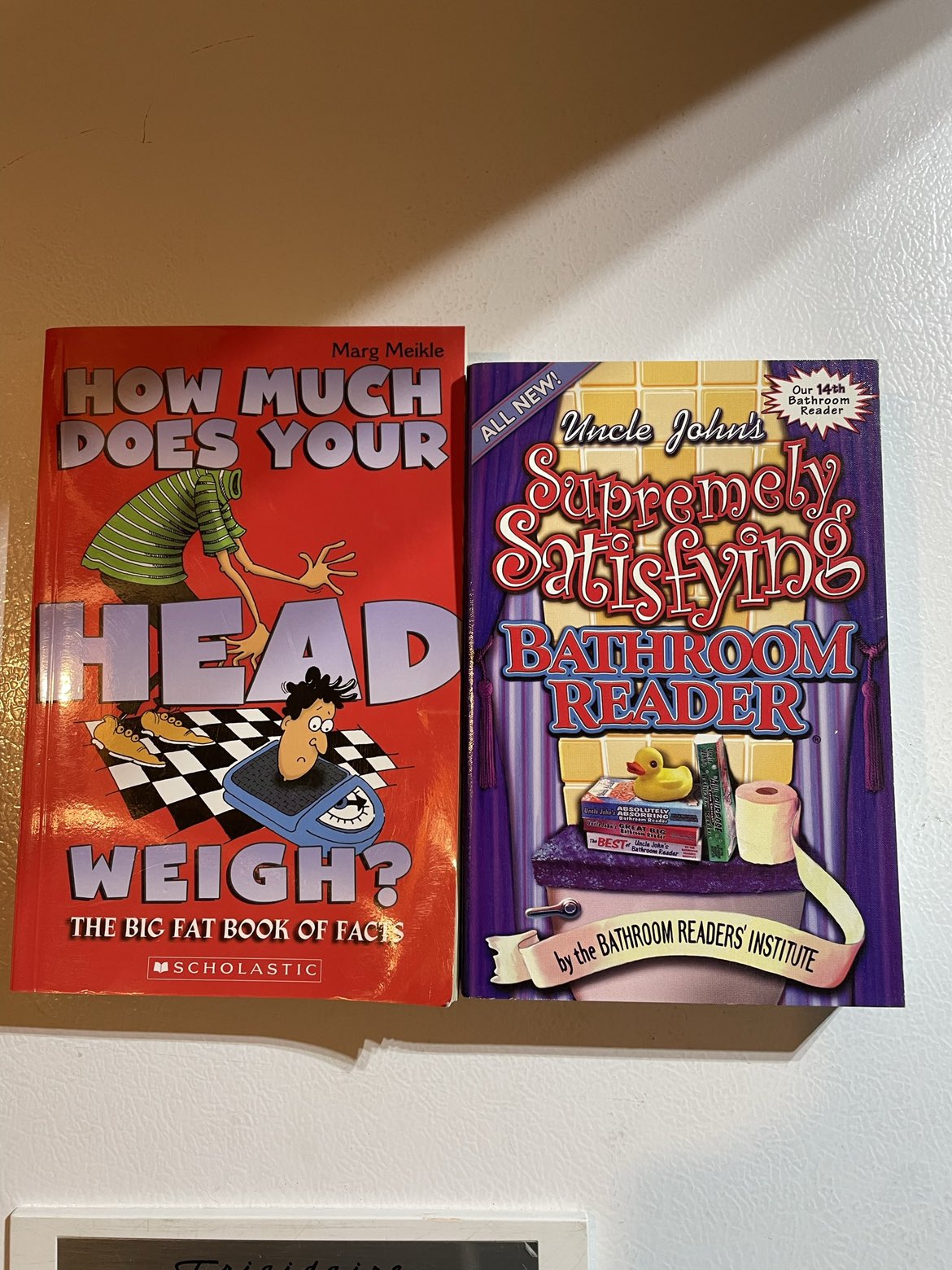 Fun Facts Books