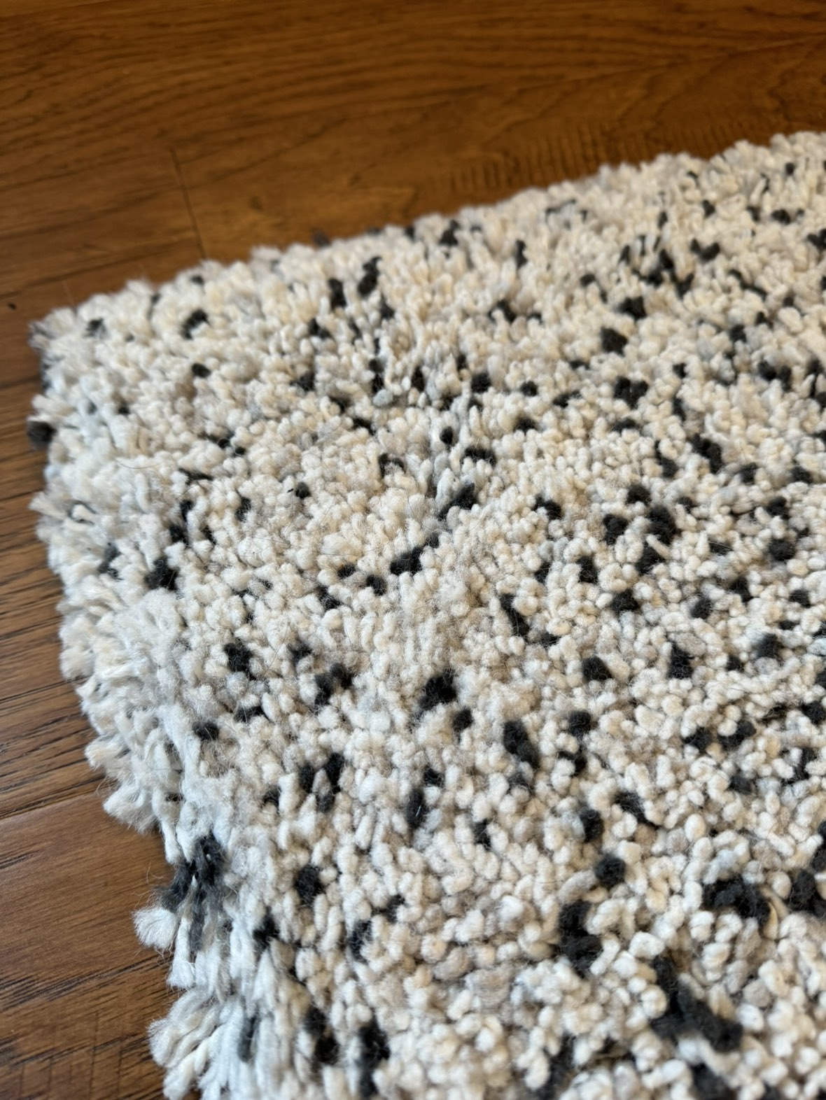 Large Carpet image indicator(2)