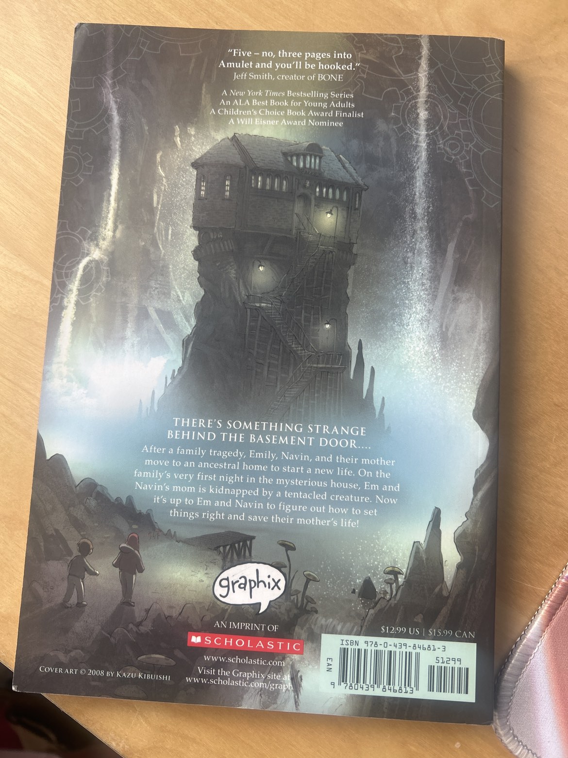 Amulet book one the stone keeper image indicator(2)