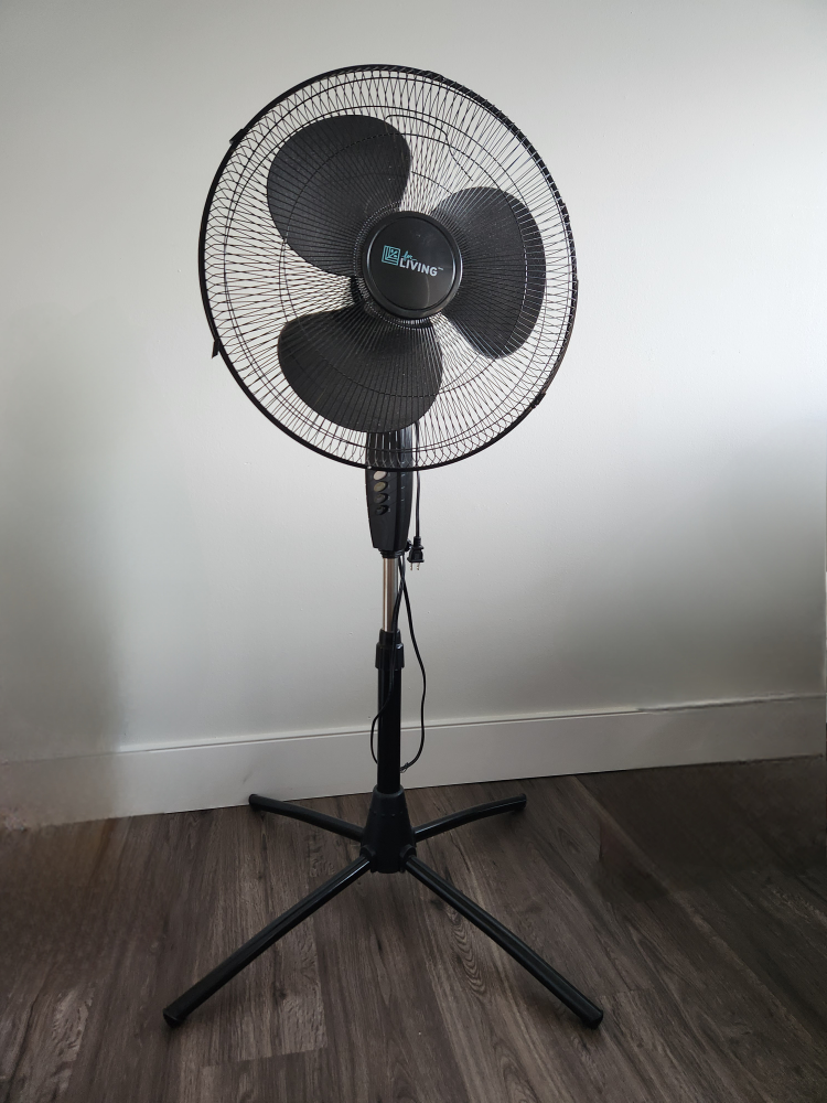 Fan