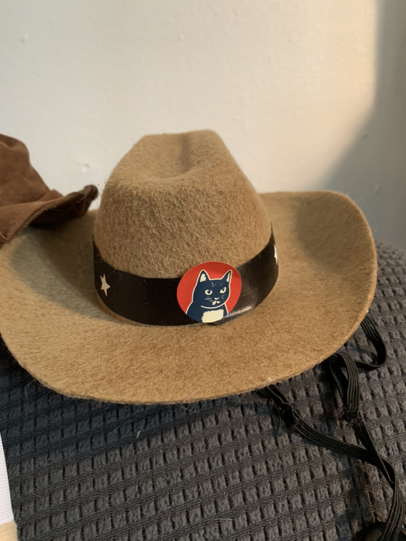 Cowboy Cat (or Small Dog) Costume with Bonus Hat image indicator(2)