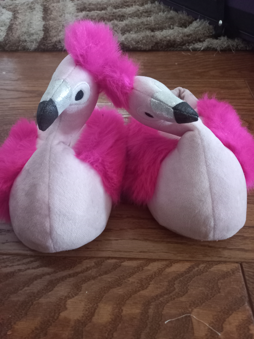 Swan shoes #freecycle thumbnail
