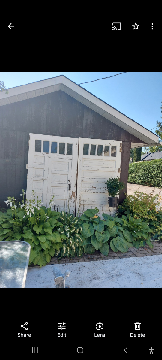 Antique Coach house doors thumbnail