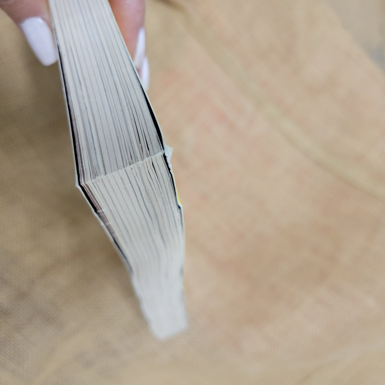 Watchmen Graphic Novel image indicator(3)