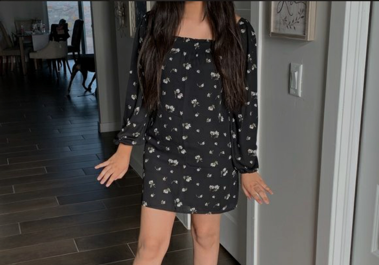 Abercrombie Long-Sleeved Smocked Neckline Mini Dress (BNWT) image indicator(4)