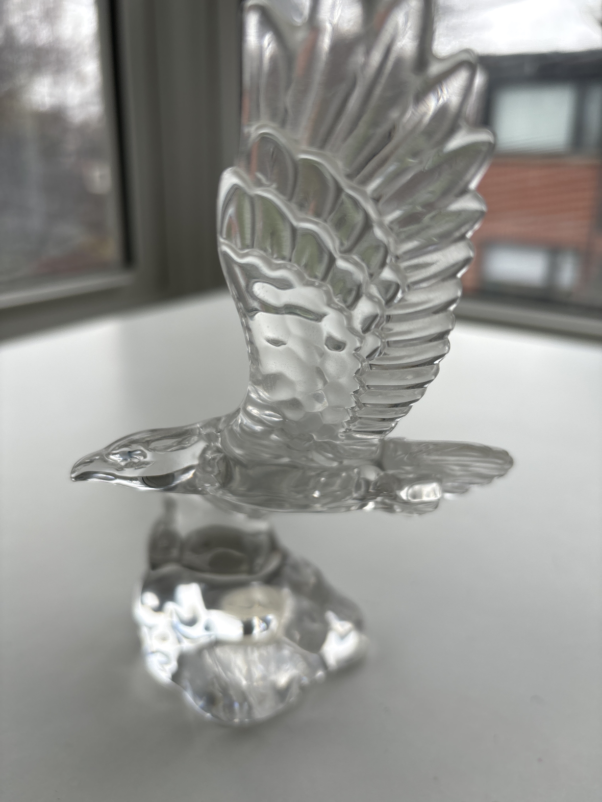 🥕Vintage Wonder of the Wild🥕 image indicator(3)