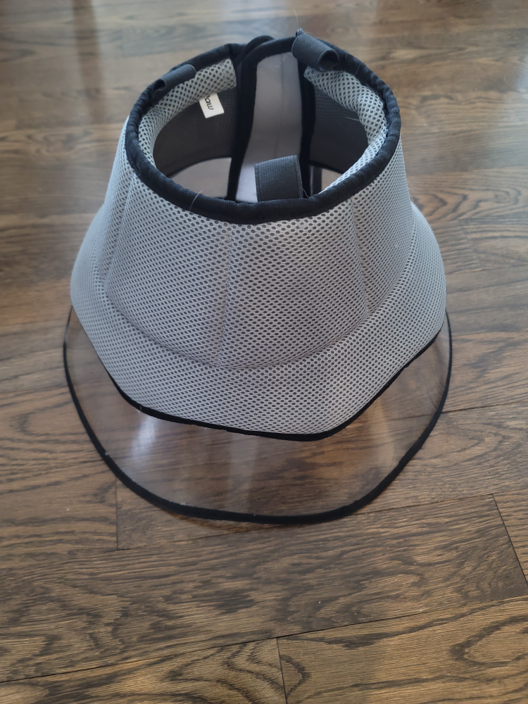 Dog Collar For large dog thumbnail