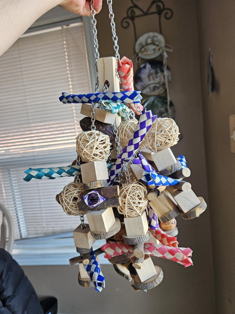 Wooden bird toy image indicator(2)