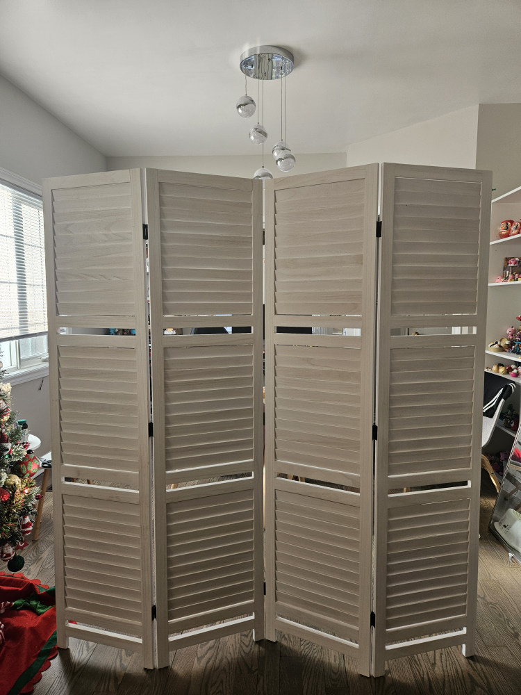 Room Divider with Removable Shelves image indicator(3)