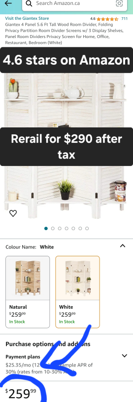 Room Divider with Removable Shelves image indicator(4)