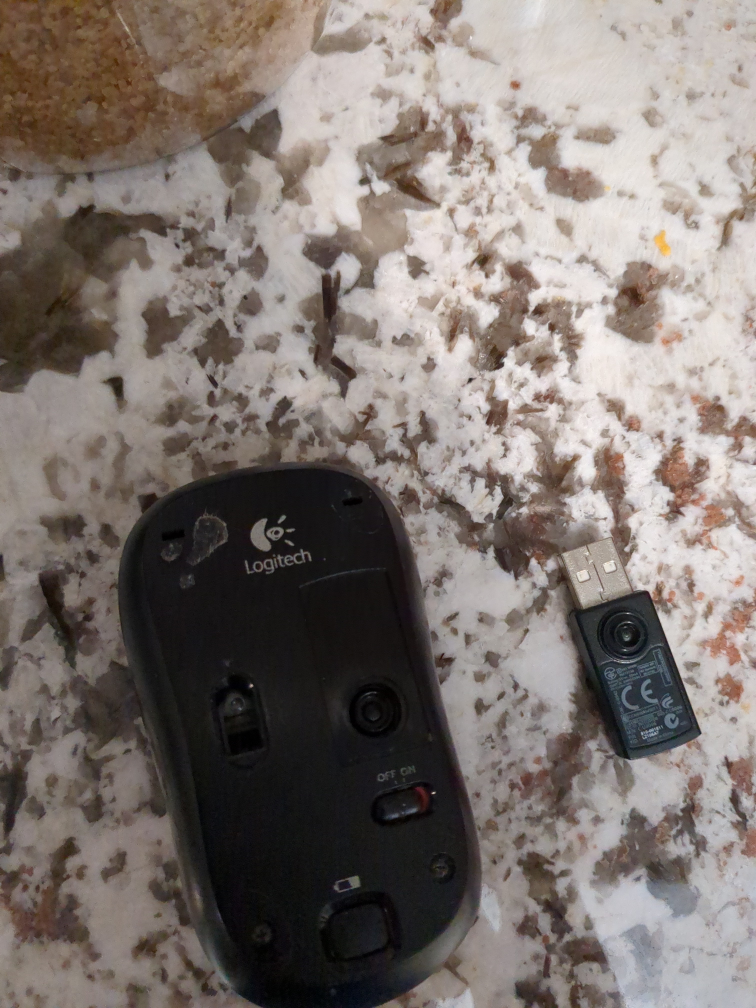 Logitech MK320 Mouse 🥕 image indicator(2)