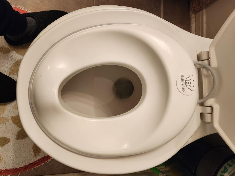 Baby Toilet Training - photo 3
