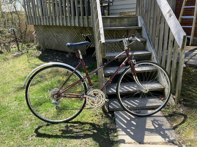 Adult bicycle (accessories included)