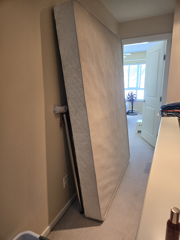 Queen size Box Spring available for free