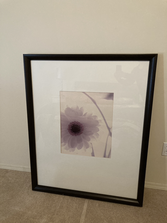 #freecycle Wood Frame and Flower Print