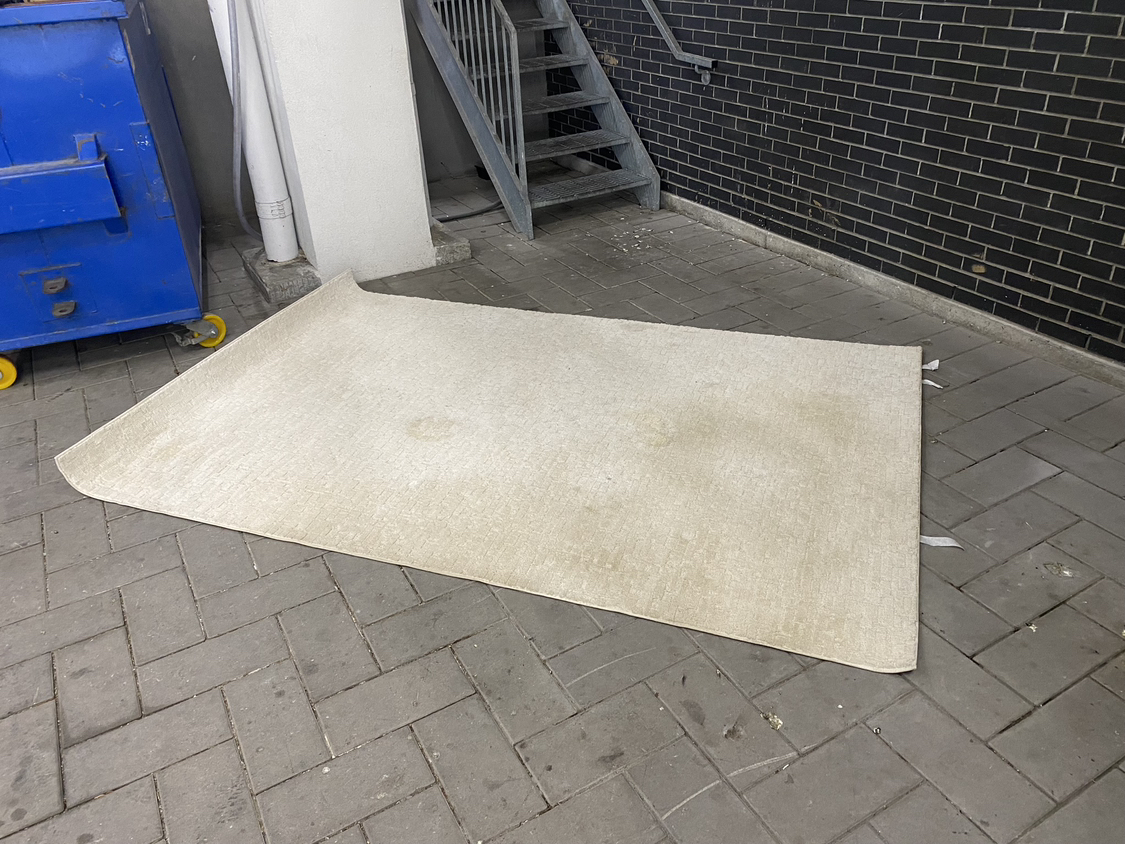 5 x 8 creme rug - photo 2