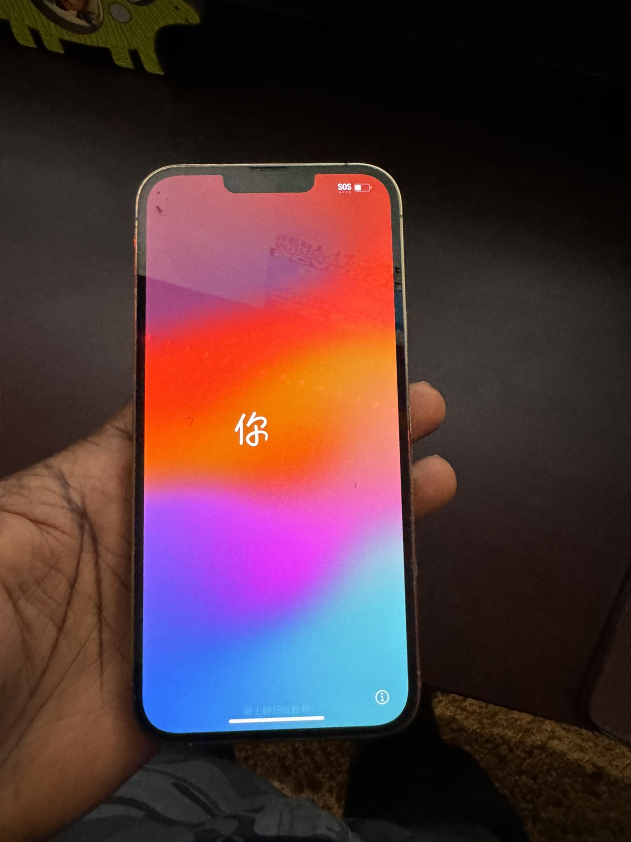 iPhone 13 Pro Max 256gb