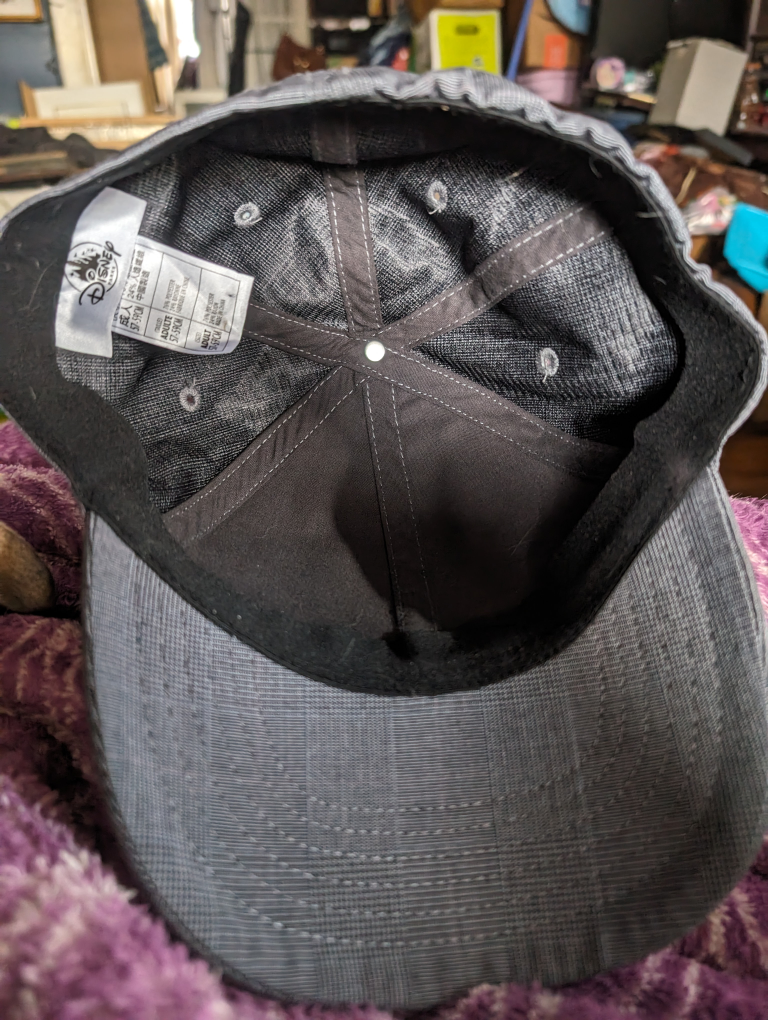 Disney's the one and only cap image indicator(2)