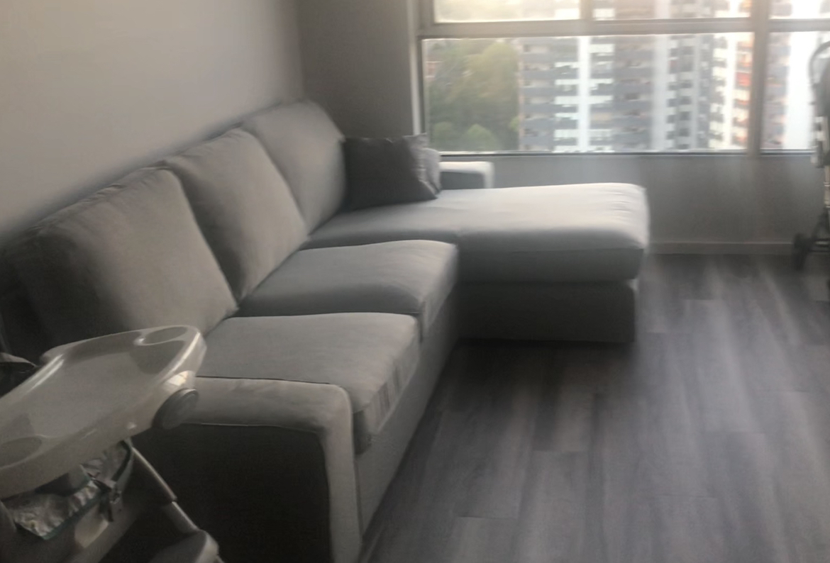 IKEA Love Seat Sofa With Chase - photo 2