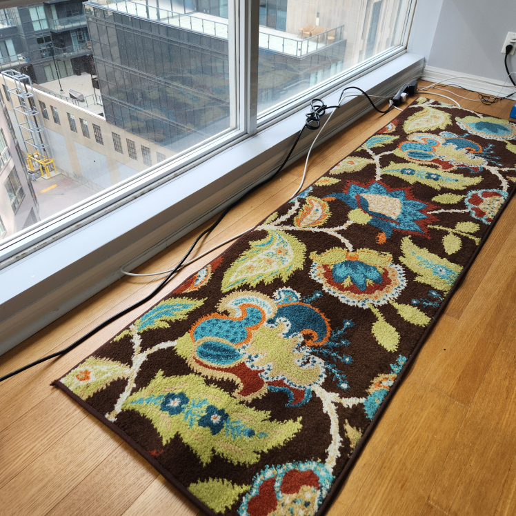 Outdoor rug, moving sale! thumbnail
