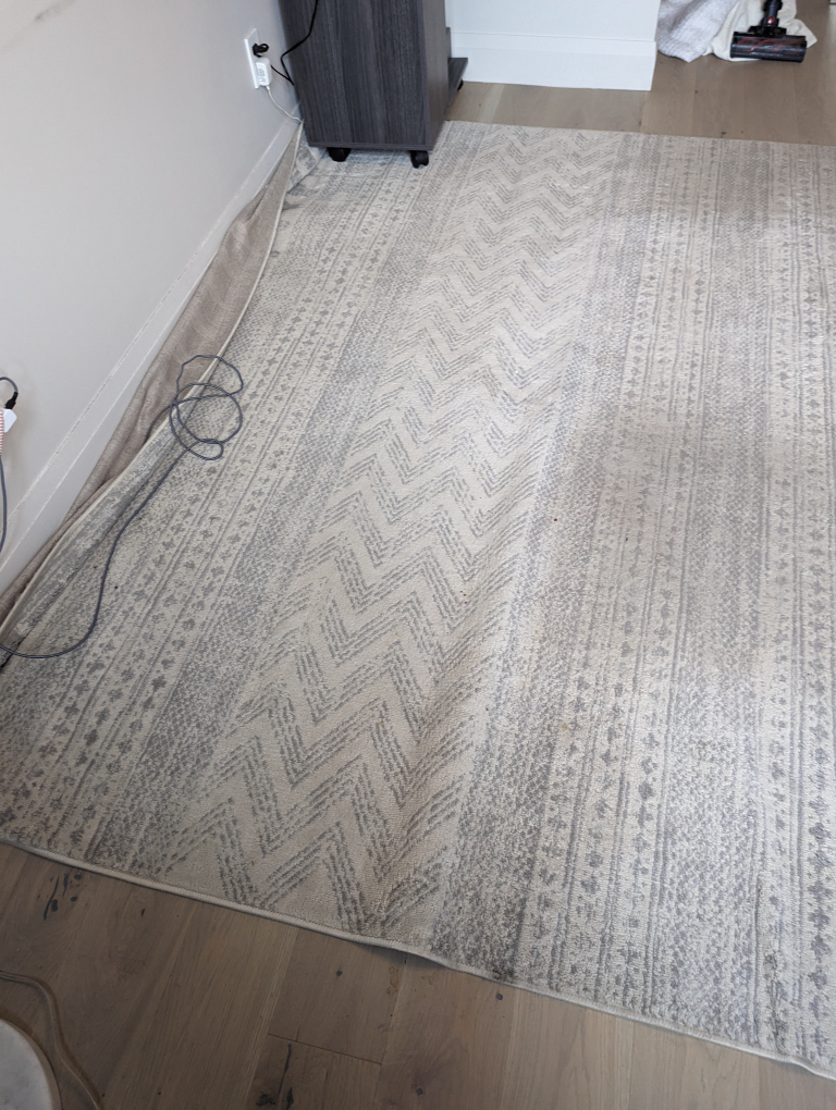 Grey and White Area Rug 9x12 - photo 2