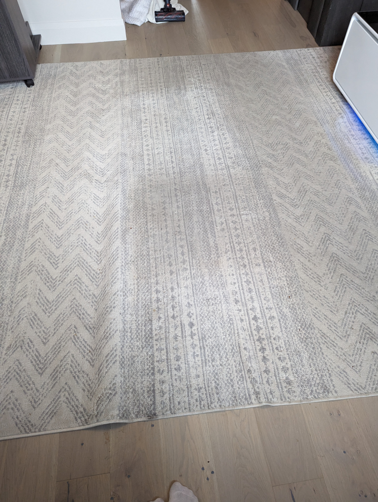 Grey and White Area Rug 9x12 - photo 3