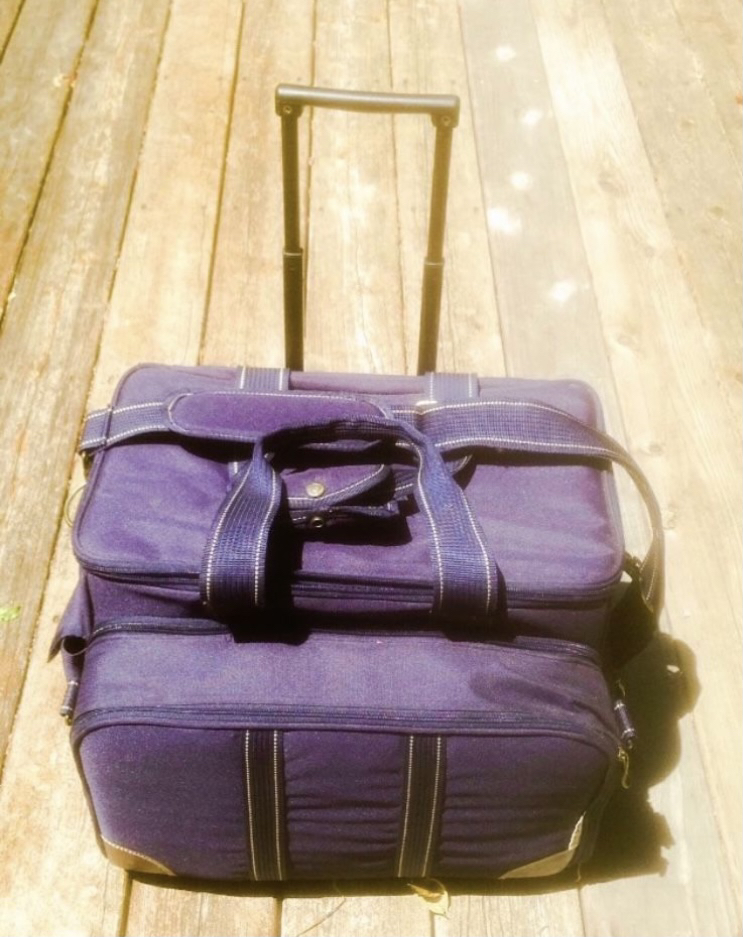 NEVER USED Insulated Picnic Cooler on wheels - photo 3