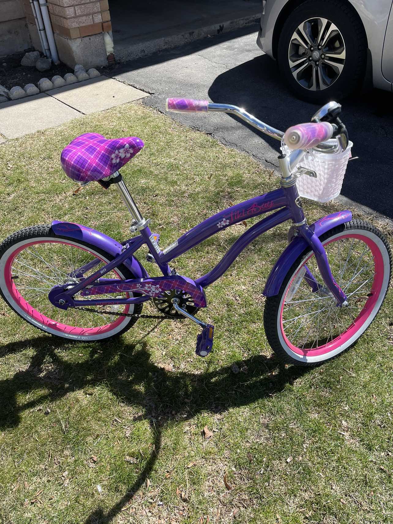 20 inch Bicycle