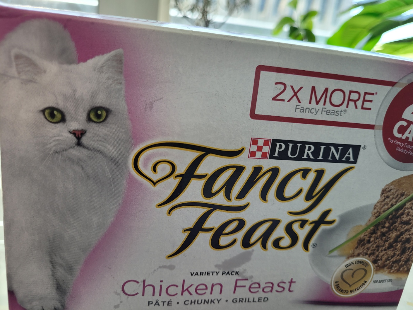 tasty feast cat food