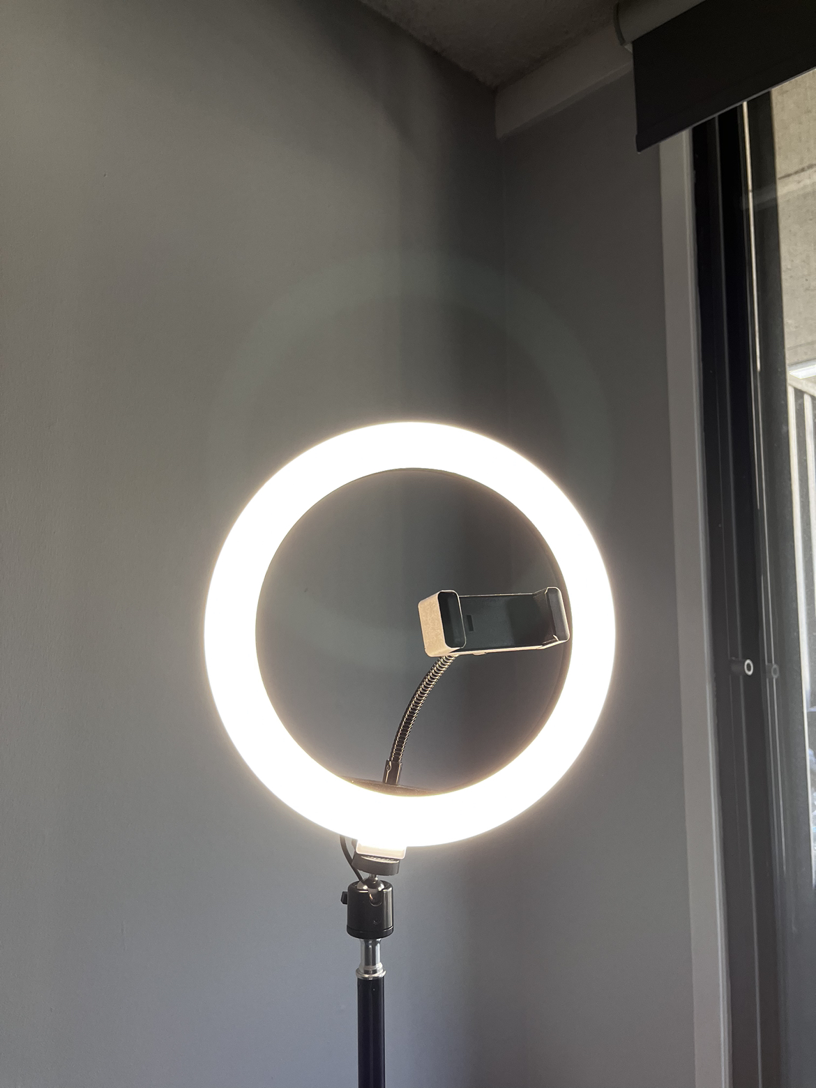 Selfie Ring Light with Phone Holder - photo 2