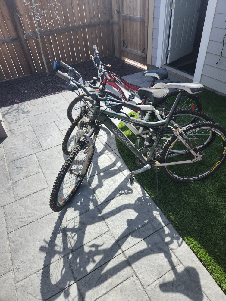 3 Bikes - Perfect for a family!