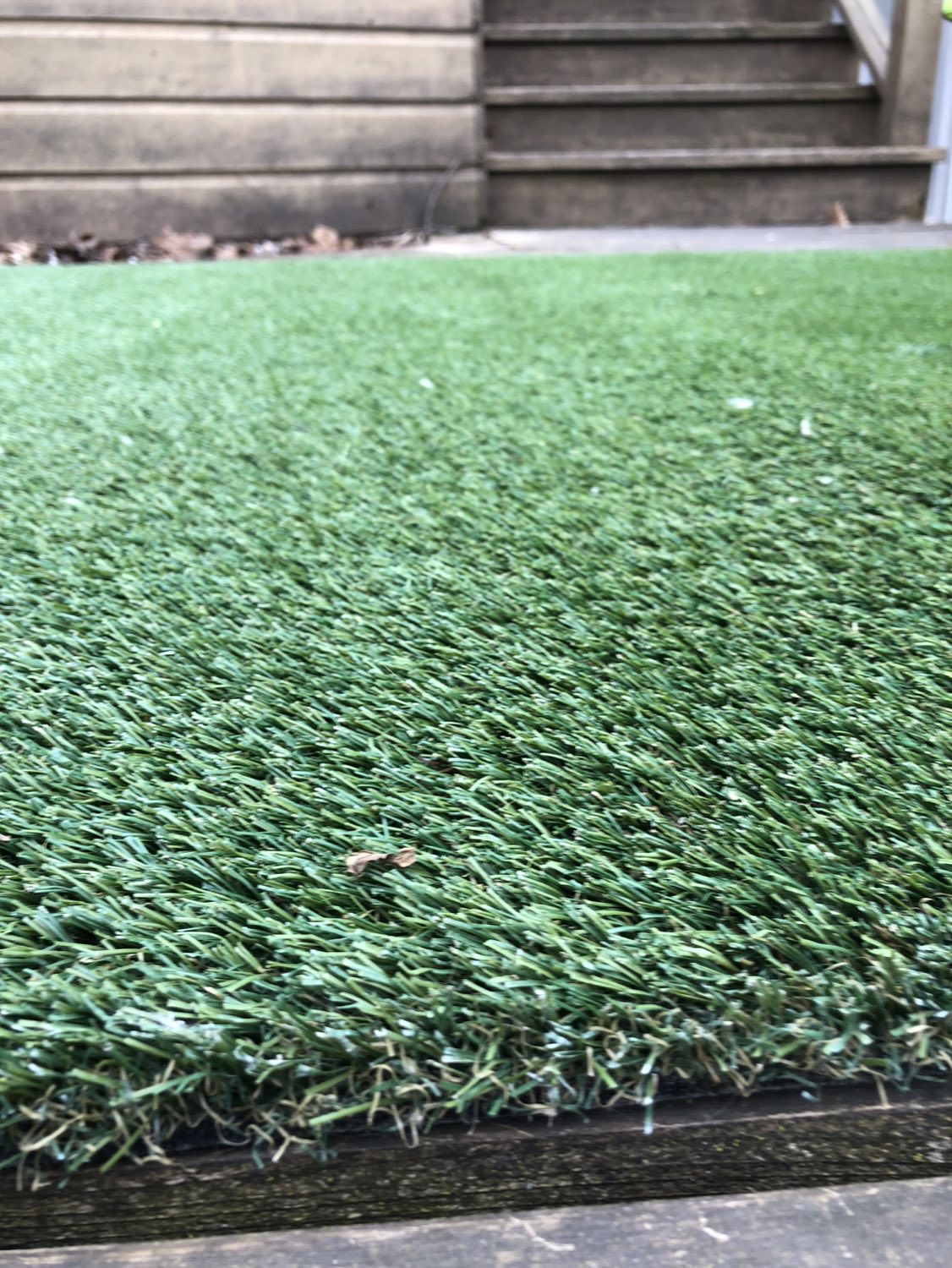 Fake grass/turf