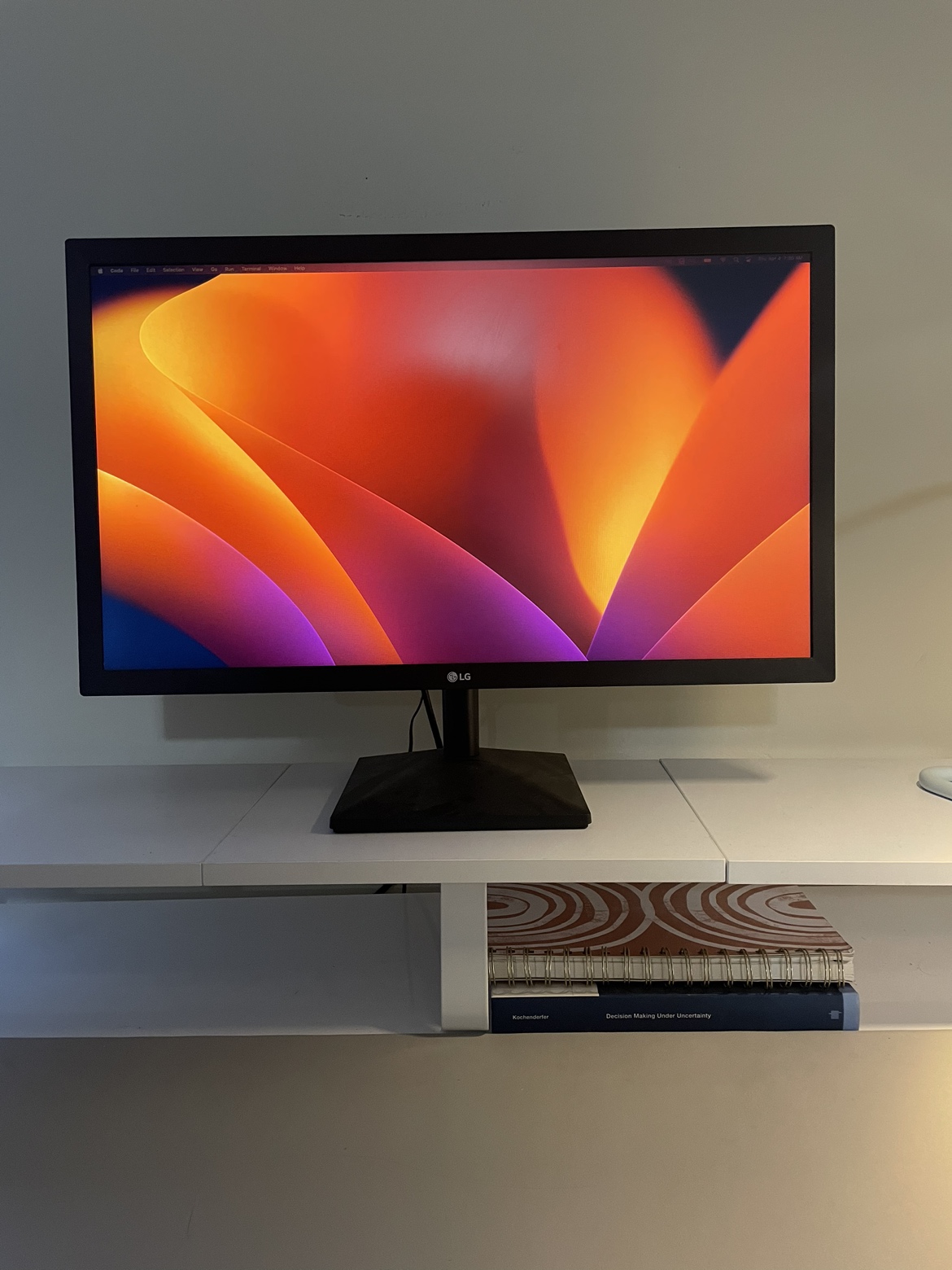 23.5” Monitor