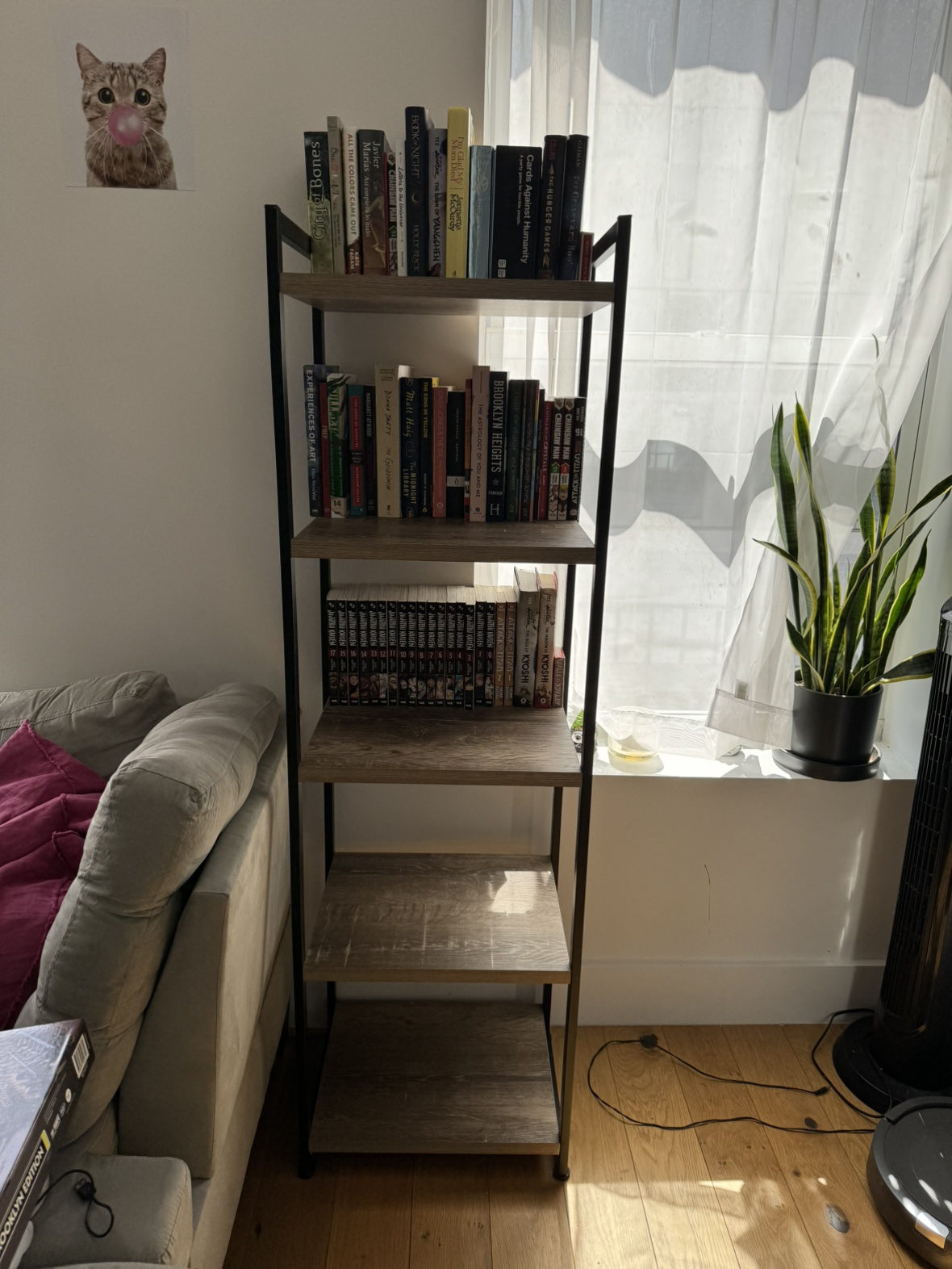 Shelf (Bookcase)