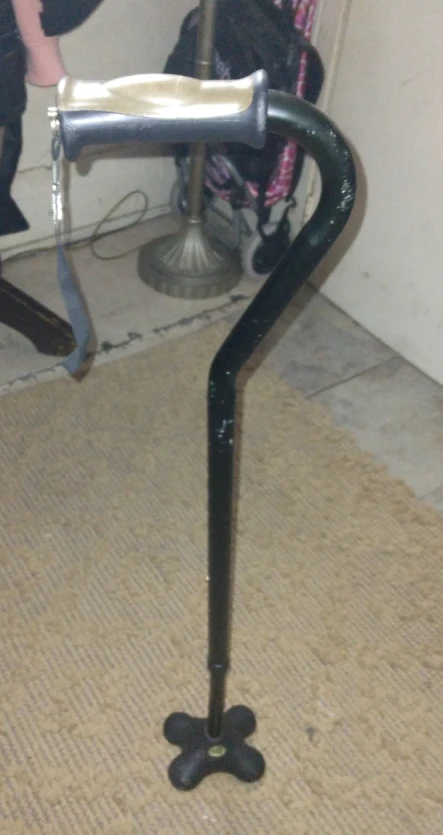 Cane - photo 2