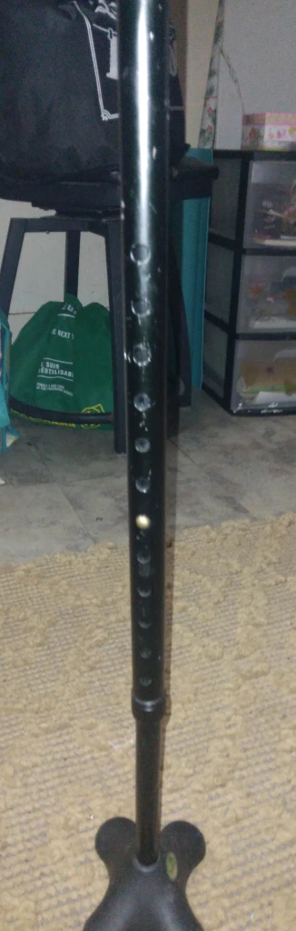 Cane - photo 3