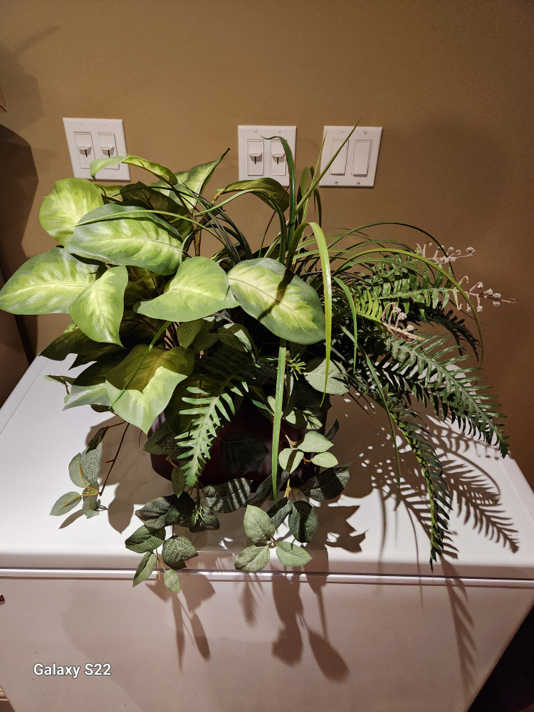 Fabric plants - photo 2
