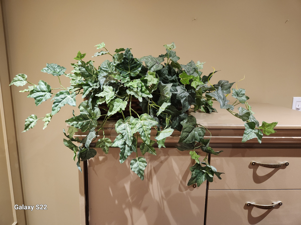 Fabric plants - photo 3