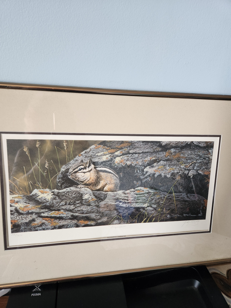 John Petrillo artist print (inquisitive) thumbnail
